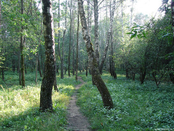 Парк Сорокалетия Октября