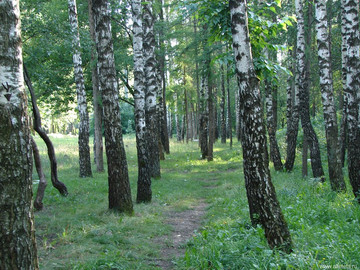 Парк Сорокалетия Октября