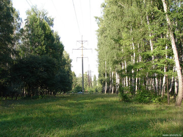 Парк Сорокалетия Октября