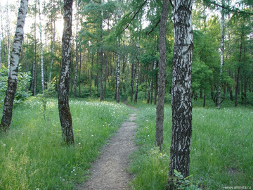 Парк Сорокалетия Октября
