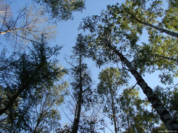 Парк Сорокалетия Октября