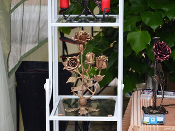 ТД Раздолье