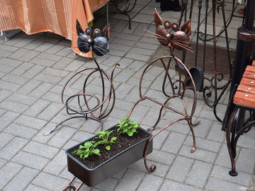 ТД Раздолье