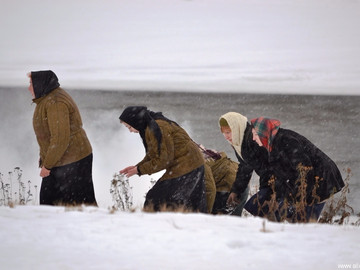 ТД Раздолье