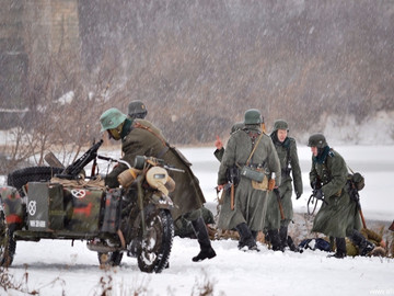 ТД Раздолье