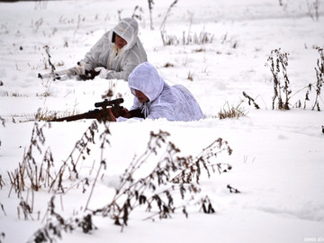 ТД Раздолье