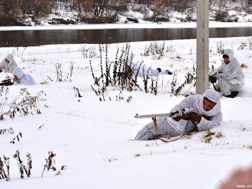 ТД Раздолье