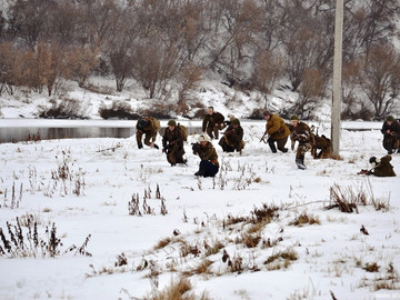 ТД Раздолье