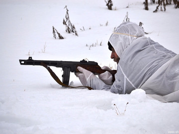 ТД Раздолье