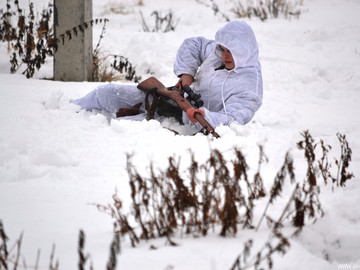 ТД Раздолье