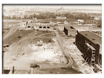 ТД Раздолье