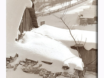 ТД Раздолье