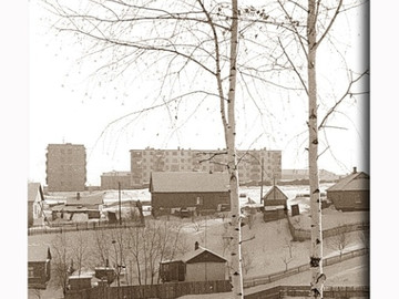 ТД Раздолье