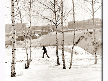 ТД Раздолье