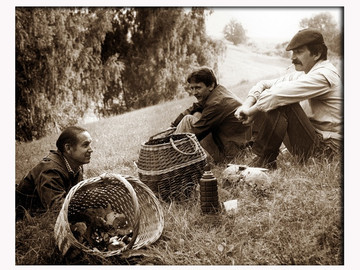 ТД Раздолье