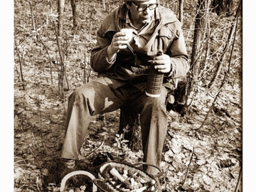 ТД Раздолье