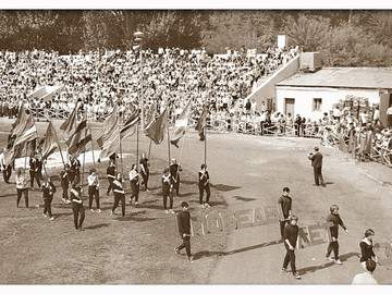 ТД Раздолье