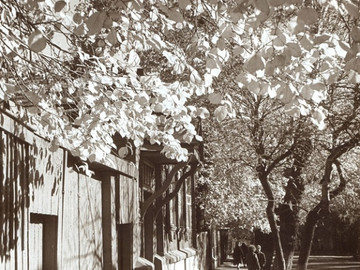 ТД Раздолье