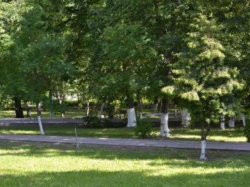 Сквер Комсомольцев