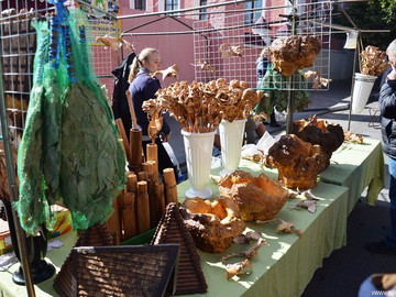 ТД Раздолье