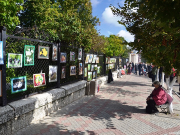 ТД Раздолье