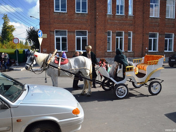 ТД Раздолье