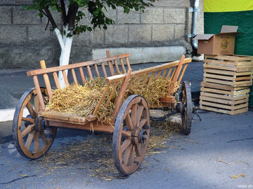 ТД Раздолье