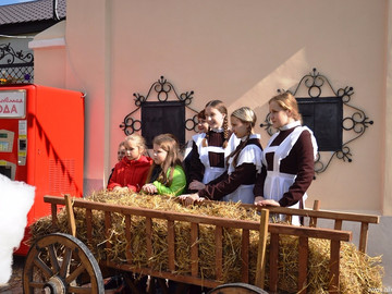 ТД Раздолье