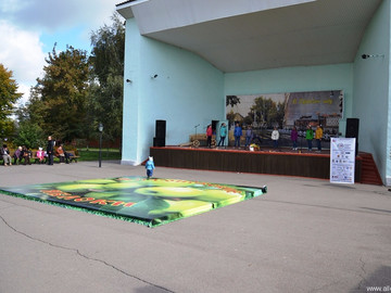 ТД Раздолье