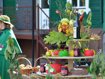 ТД Раздолье