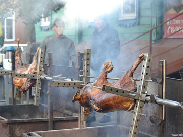 ТД Раздолье