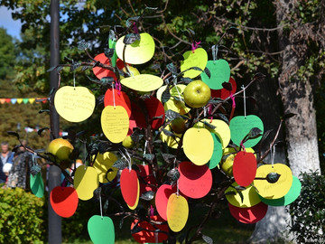 ТД Раздолье