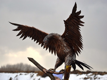 ТД Раздолье