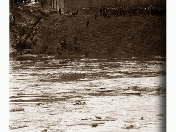 ТД Раздолье