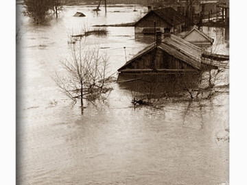 ТД Раздолье