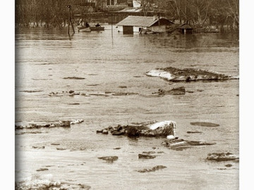 ТД Раздолье