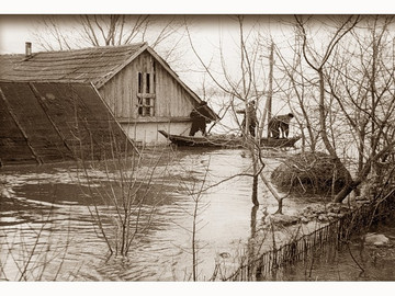 ТД Раздолье