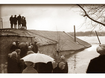 ТД Раздолье