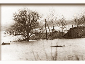 ТД Раздолье