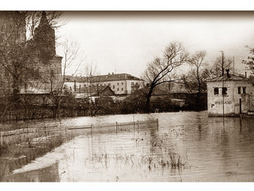 ТД Раздолье