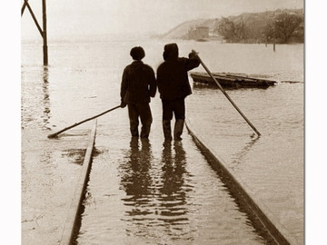 ТД Раздолье