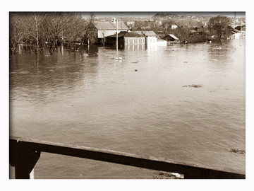 ТД Раздолье