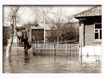 ТД Раздолье