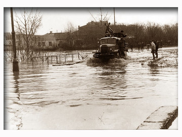 ТД Раздолье