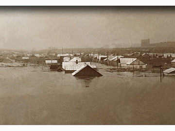 ТД Раздолье