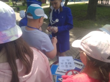 ТД Раздолье