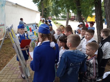 ТД Раздолье