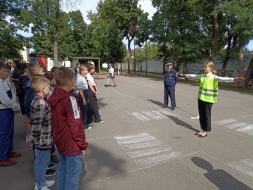 ТД Раздолье