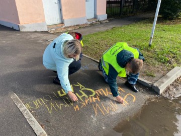 ТД Раздолье