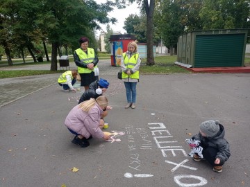 ТД Раздолье